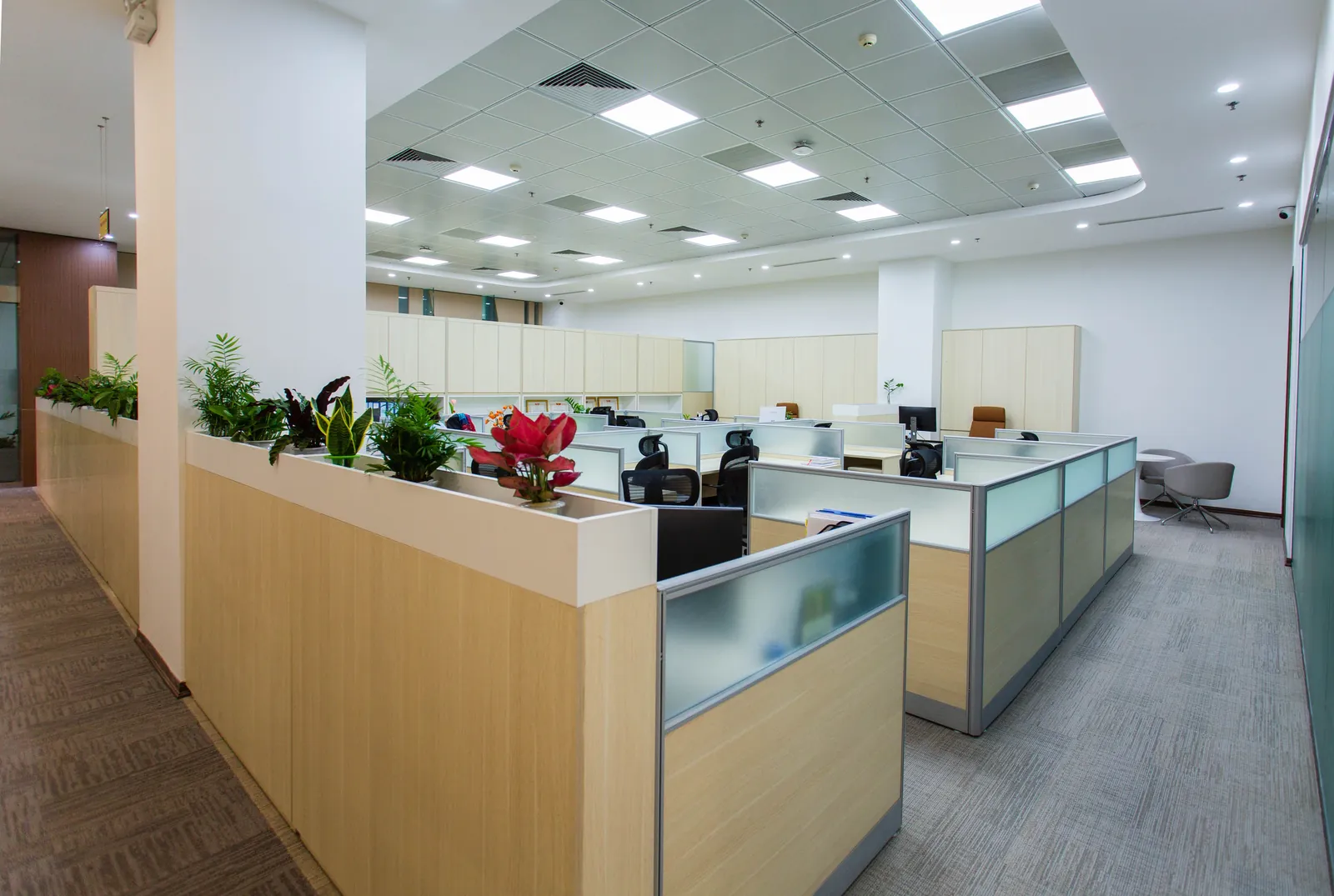 Bright, clean commercial office in Tuscaloosa